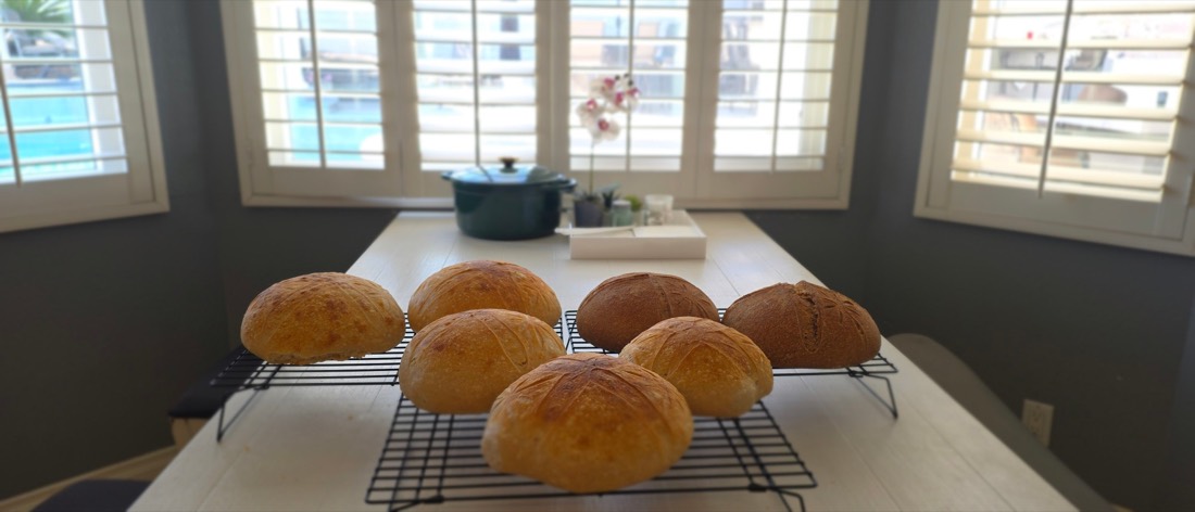 Seven sourdough loaves cooling on wire racks by a sunny window